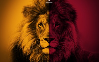 正大体育精华-乌克兰队这脚射门偏得离谱