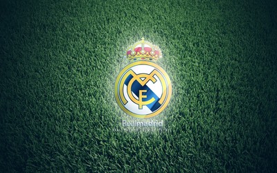 正大体育快讯-从青训开始