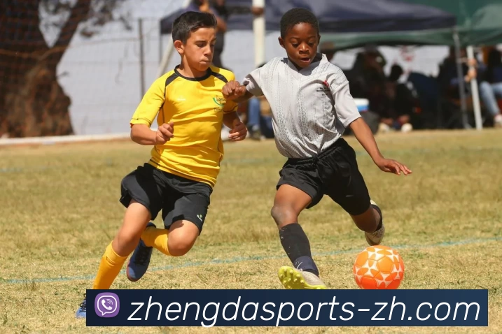 App Interface Preview